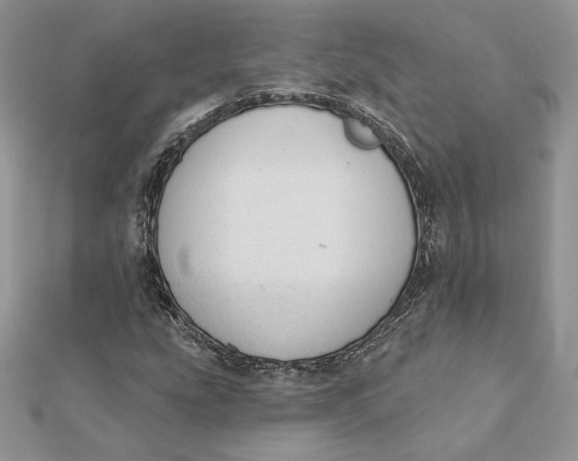 X0000112361207200909031903