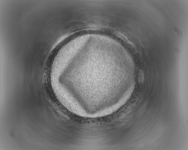 X0000112361208200909031903