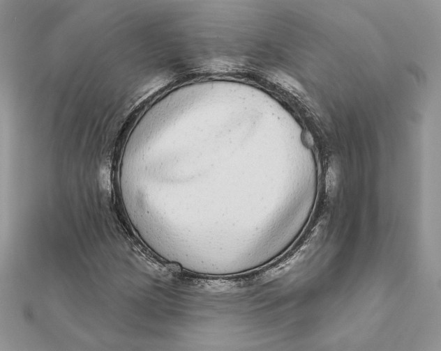 X0000112361209200909031903