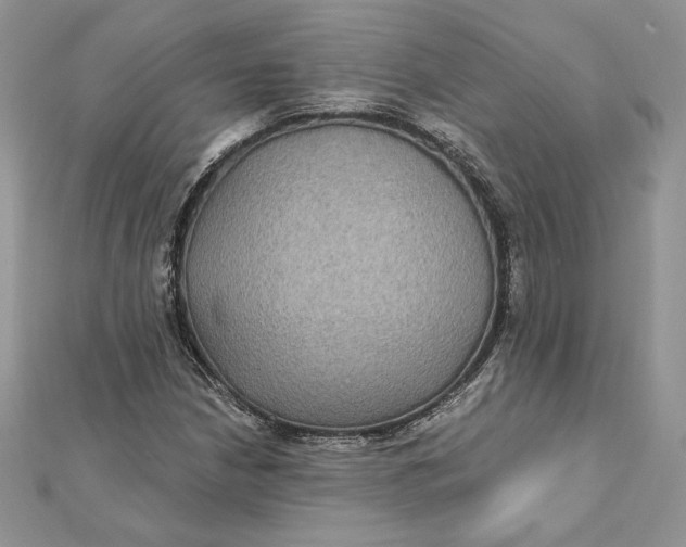 X0000112361210200909031903