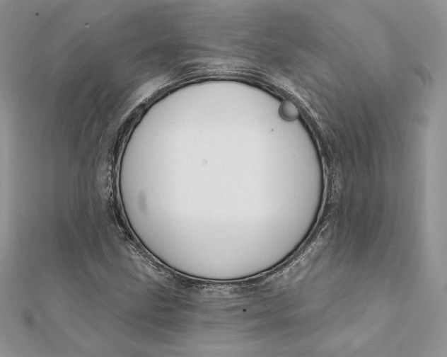 X0000112361211200909031903