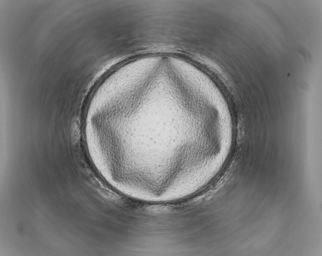 X0000112361212200909031903