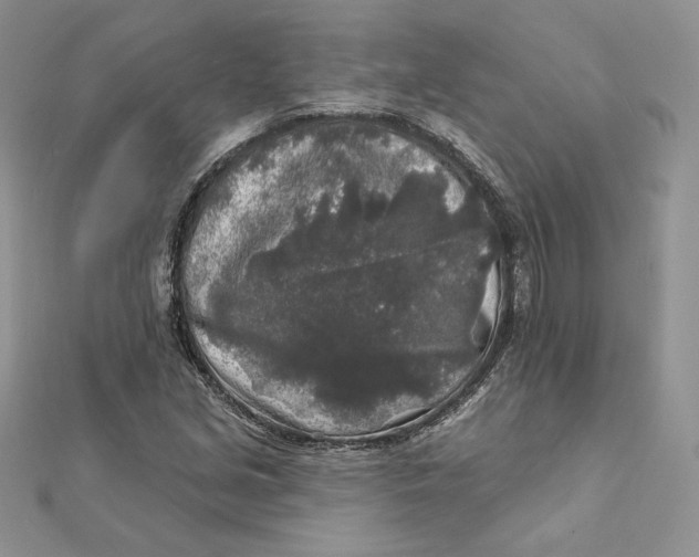 X0000112361213200909031903