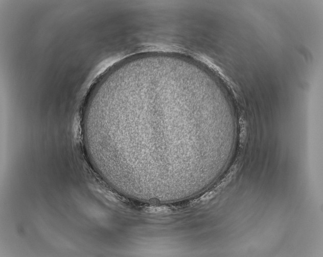 X0000112361215200909031903