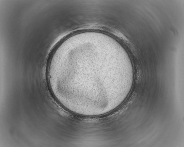 X0000112361216200909031903