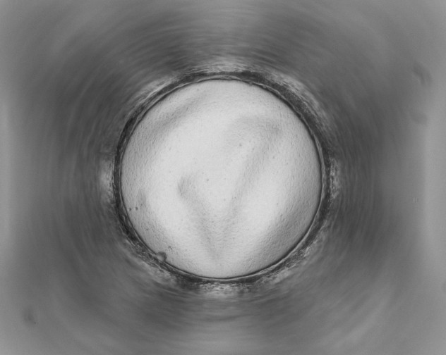 X0000112361217200909031903