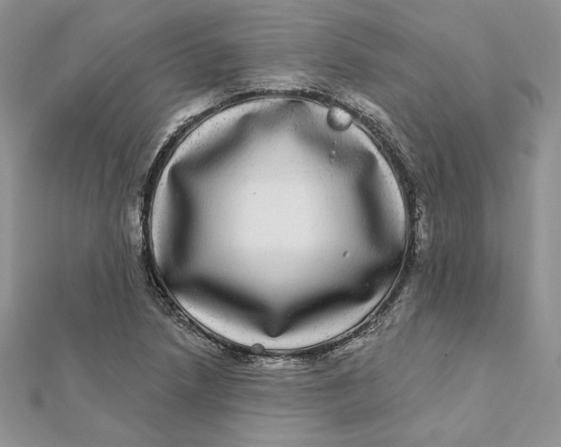 X0000112361218200909031903