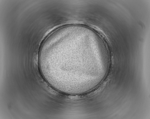 X0000112361220200909031903