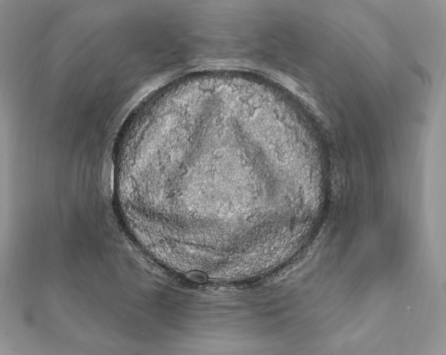 X0000112361221200909031903