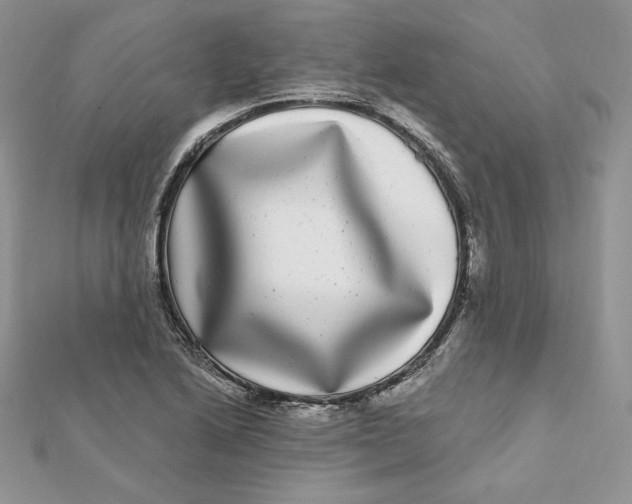 X0000112361222200909031903