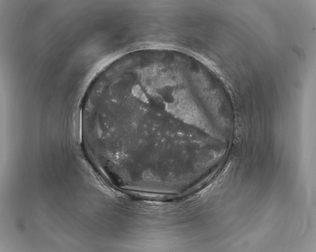 X0000112361223200909031903