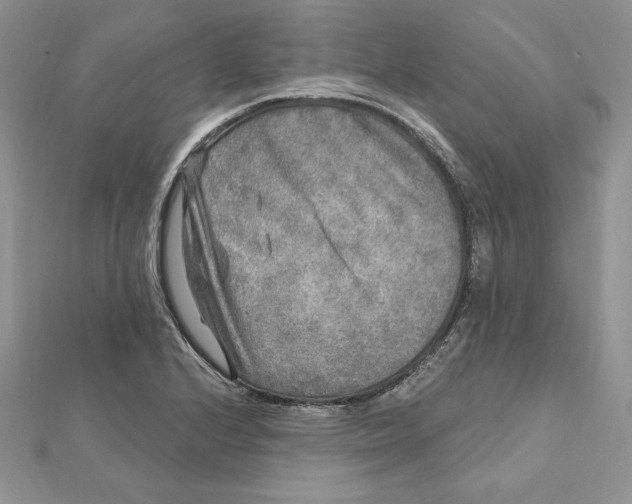 X0000112361224200909031903