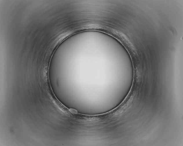 X0000112361225200909031903