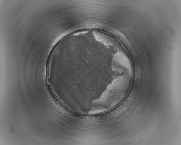 X0000112361226200909031903