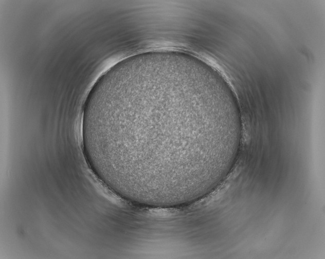 X0000112361227200909031903