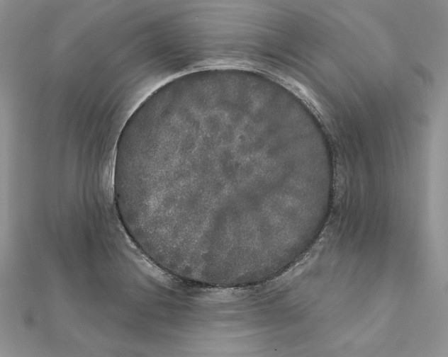 X0000112361228200909031903