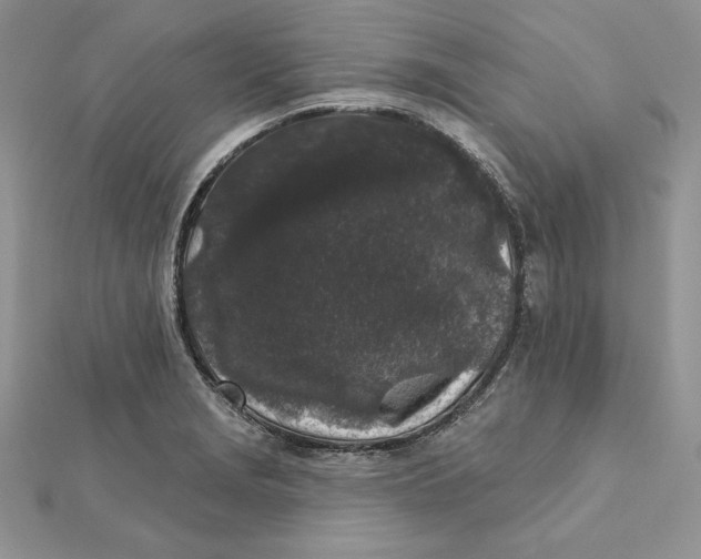 X0000112361229200909031903