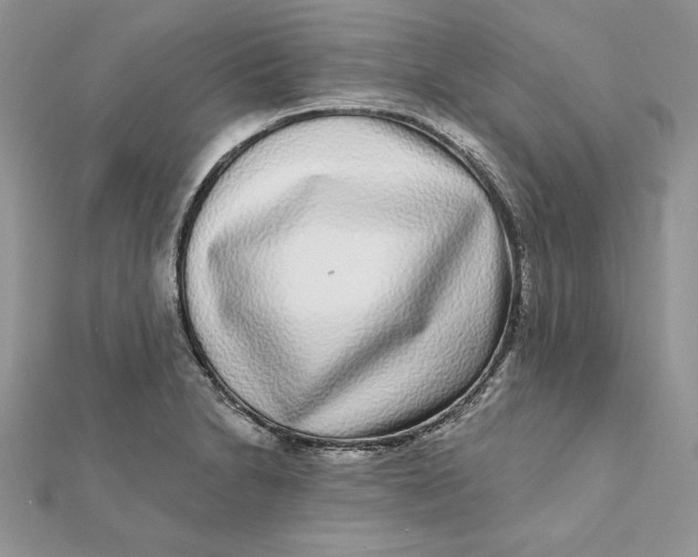 X0000112361230200909031903