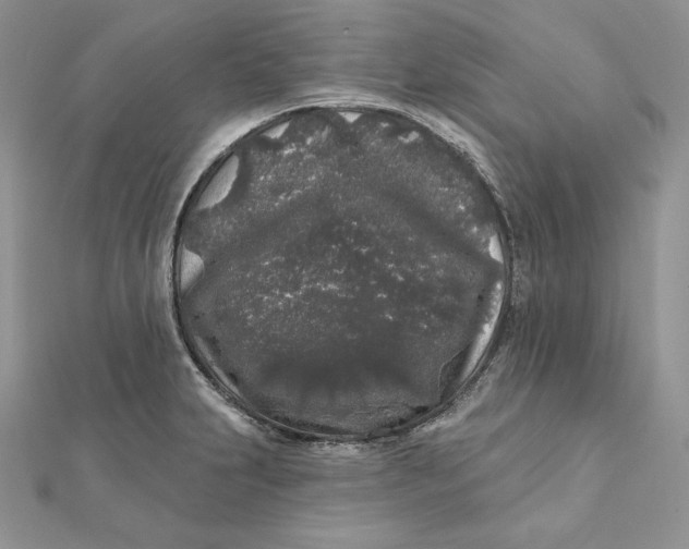 X0000112361231200909031903