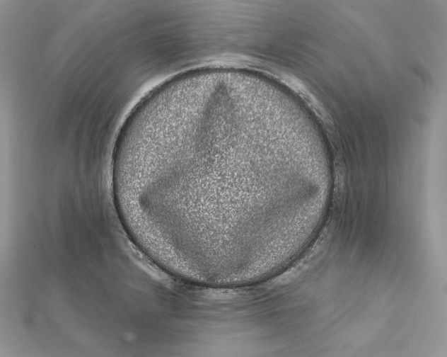 X0000112361232200909031903