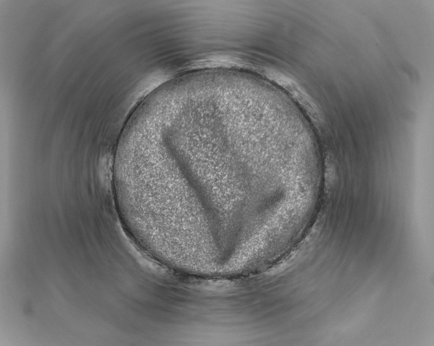 X0000112361233200909031903