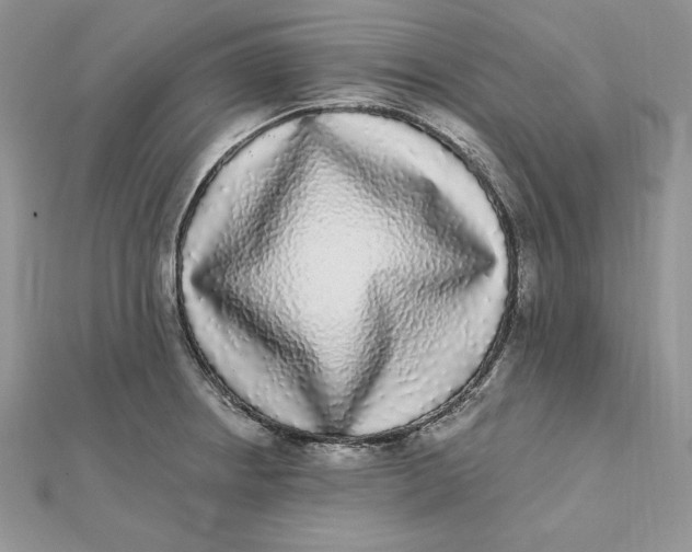 X0000112361234200909031903