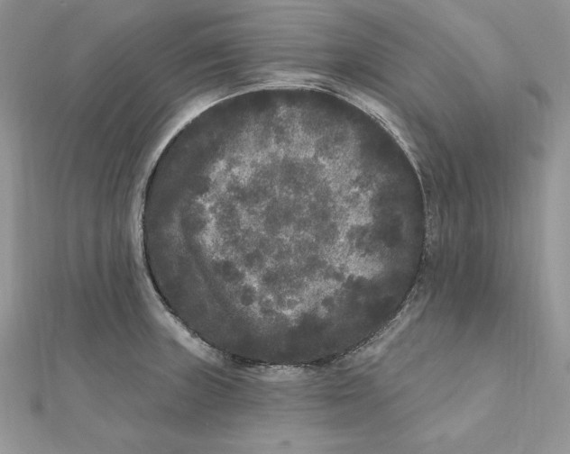 X0000112361235200909031903