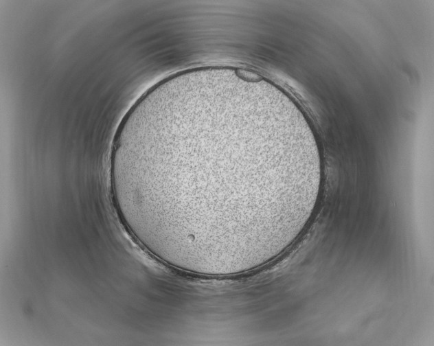 X0000112361236200909031903