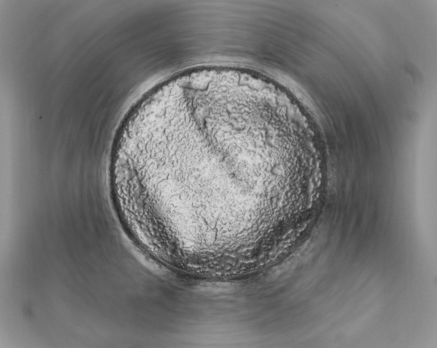 X0000112361237200909031903