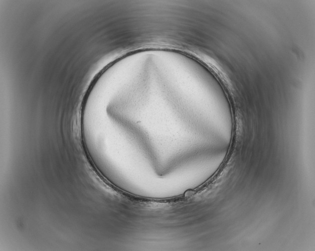 X0000112361238200909031903