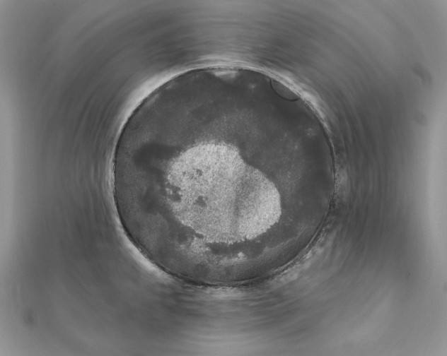 X0000112361239200909031903