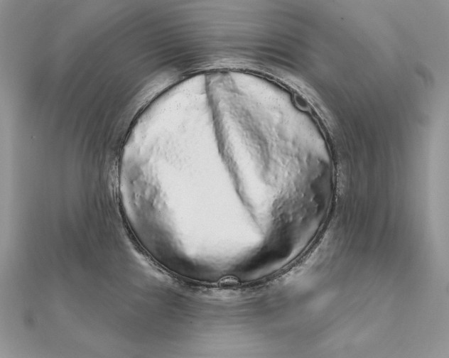 X0000112361241200909031903