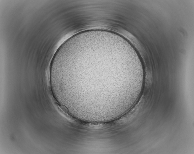 X0000112361242200909031903