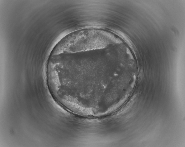 X0000112361243200909031903