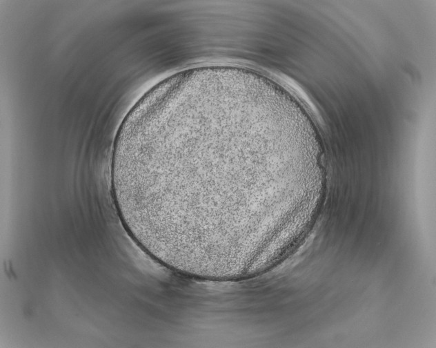 X0000112361244200909031903