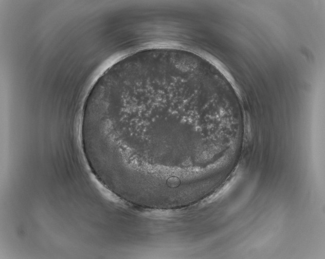 X0000112361245200909031903