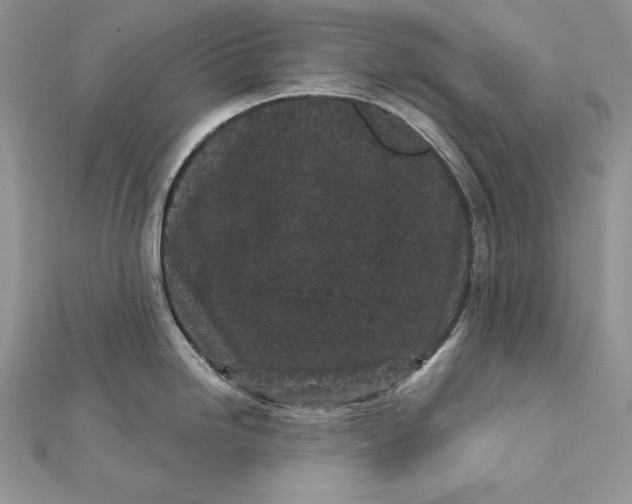 X0000112361246200909031903