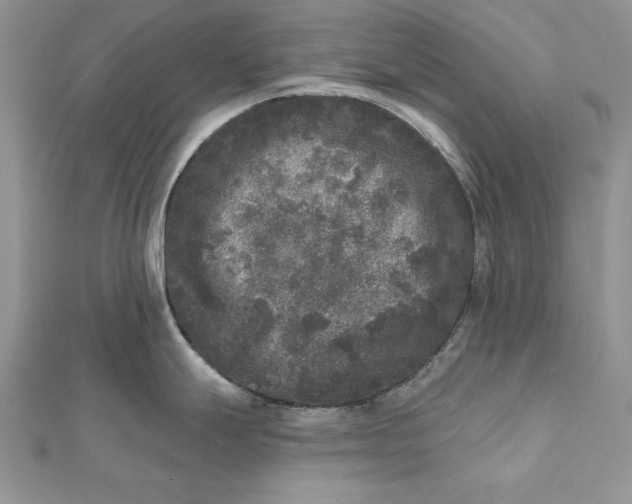 X0000112361247200909031903