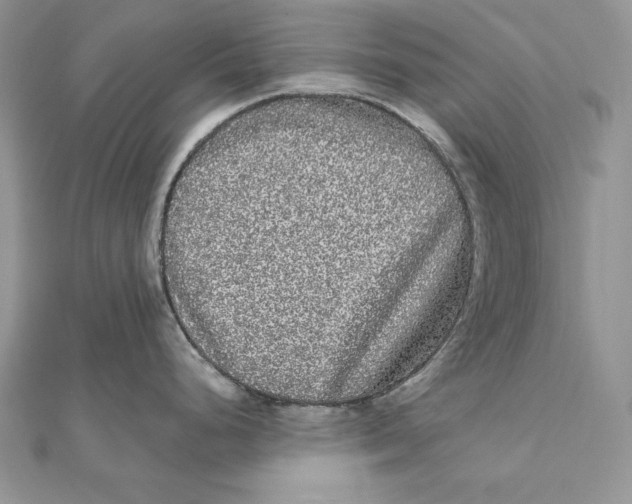 X0000112361248200909031903