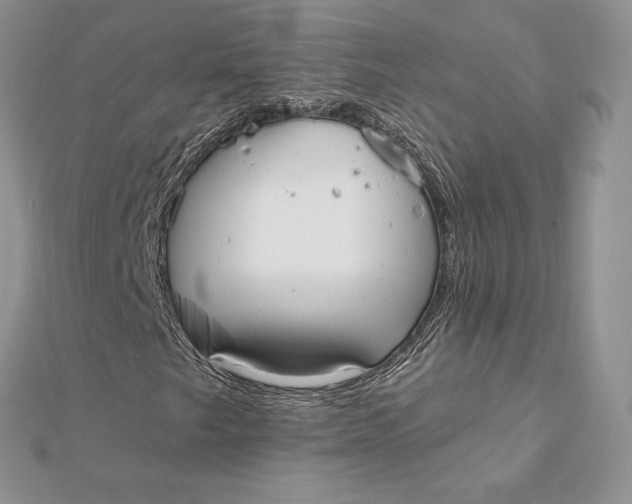 X0000112361249200909031903