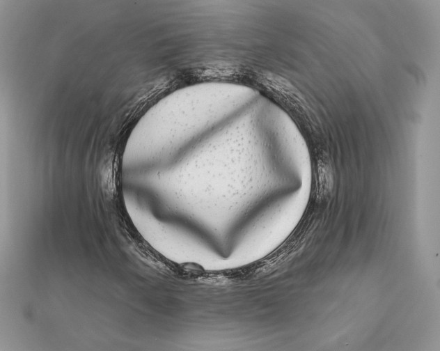 X0000112361250200909031903