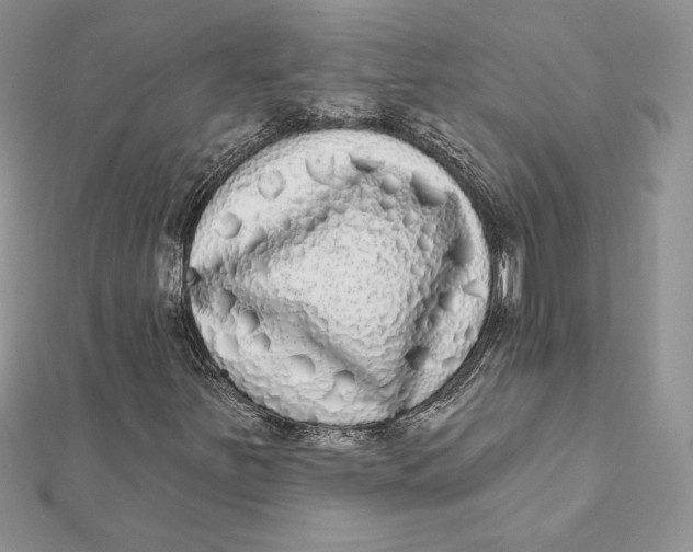 X0000112361251200909031903