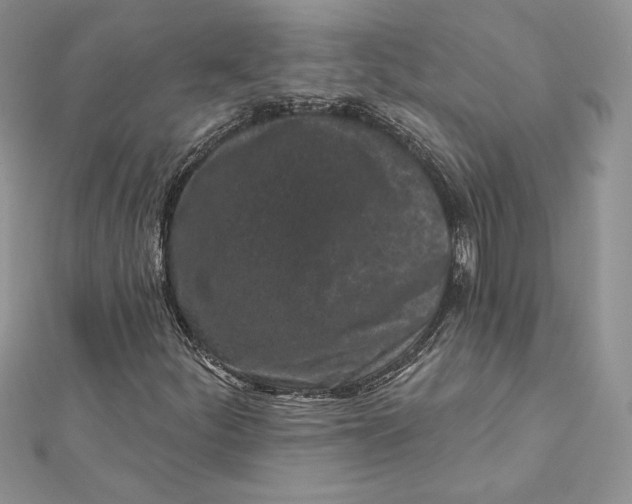 X0000112361252200909031903