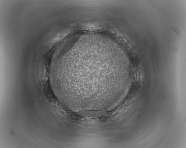 X0000112361253200909031903