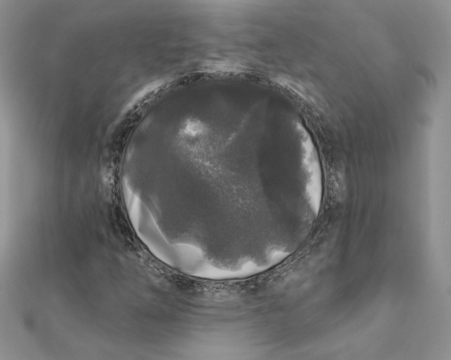 X0000112361254200909031903