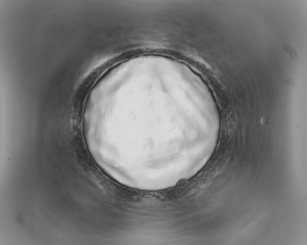 X0000112361255200909031903