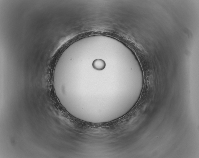 X0000112361256200909031903