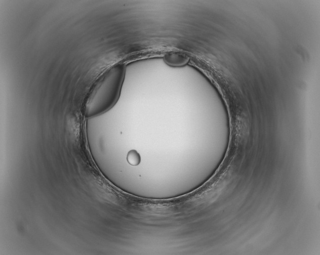 X0000112361257200909031903