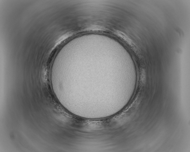 X0000112361258200909031903