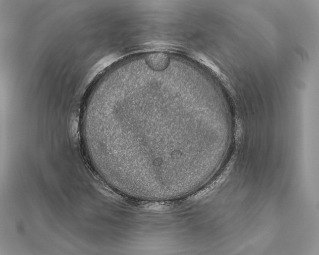 X0000112361259200909031903